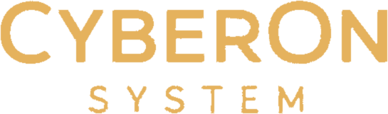 CyberOn System